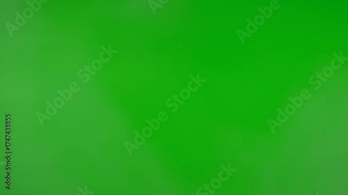 Vibrant Green Gradient Background with Soft Light Effect Abstract Backdrop for Design and Marketing