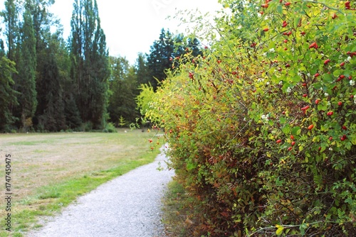 Gravel path in the open play field