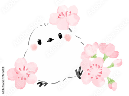 シマエナガと桜の花　かわいい絵本風イラスト