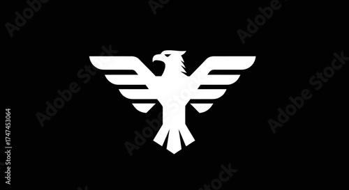 Stylized bird soars on black, for emblem design with abstract background