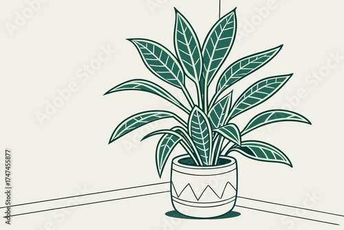 Indoor plant in a pot