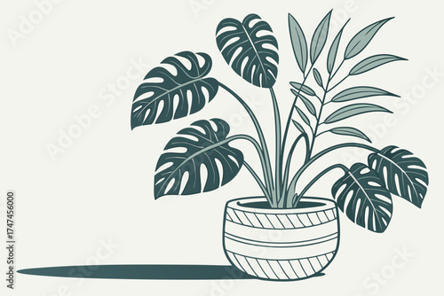 Indoor potted green plant