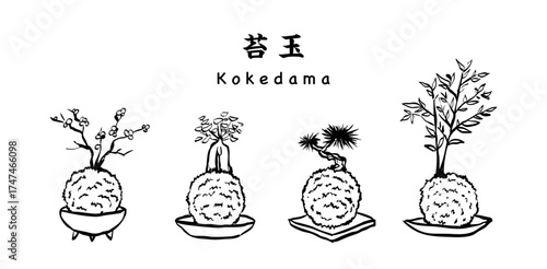 苔玉 松竹梅 Zen Kokedama & Bonsai Line Art Set