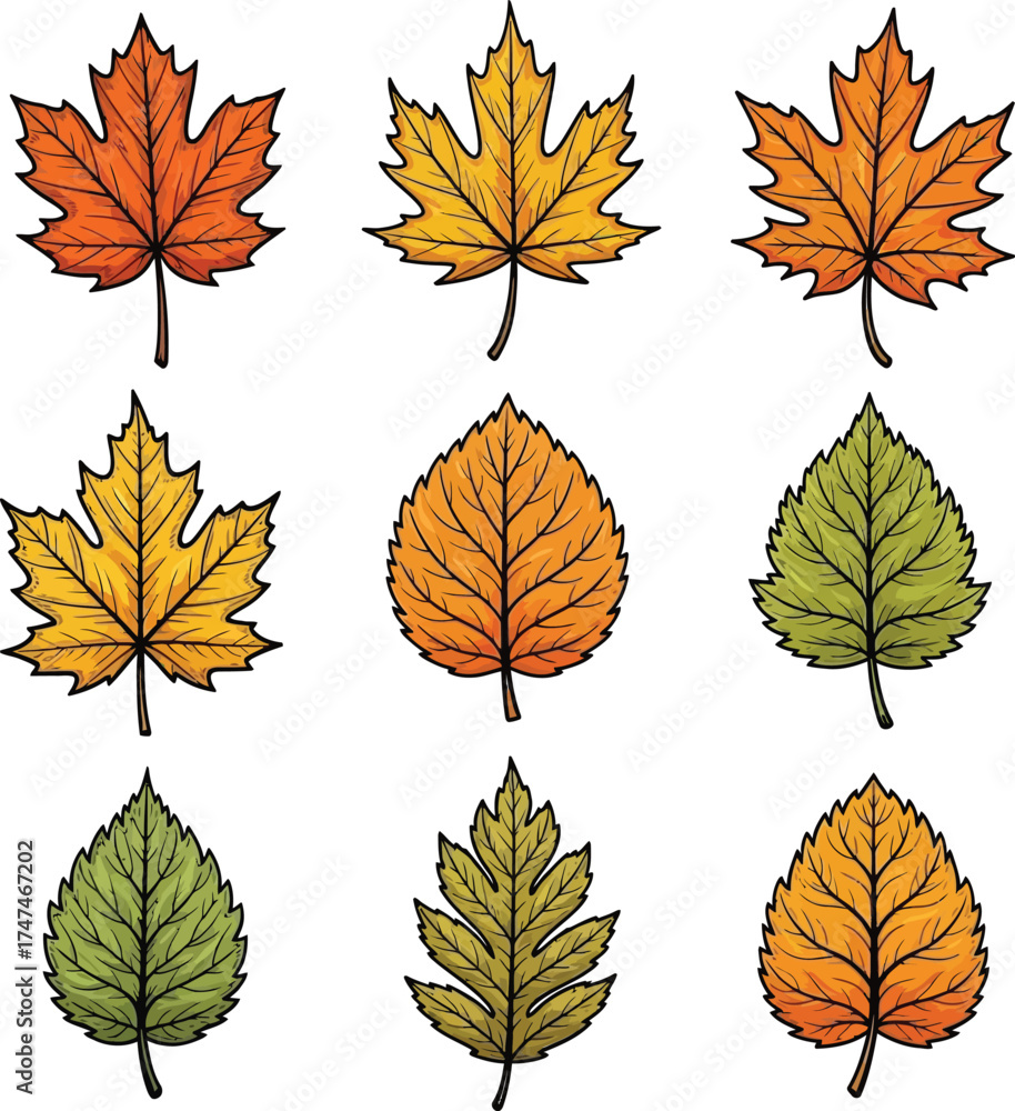 Naklejka premium collection of autumn leaves