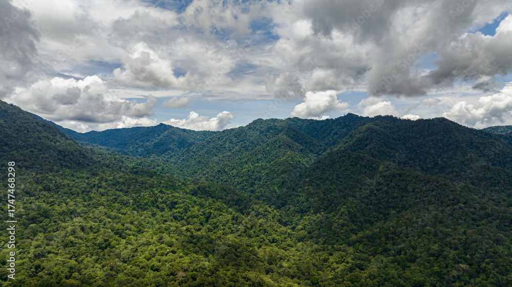 Obraz premium Mountains with rainforest and jungle. Borneo, Malaysia.