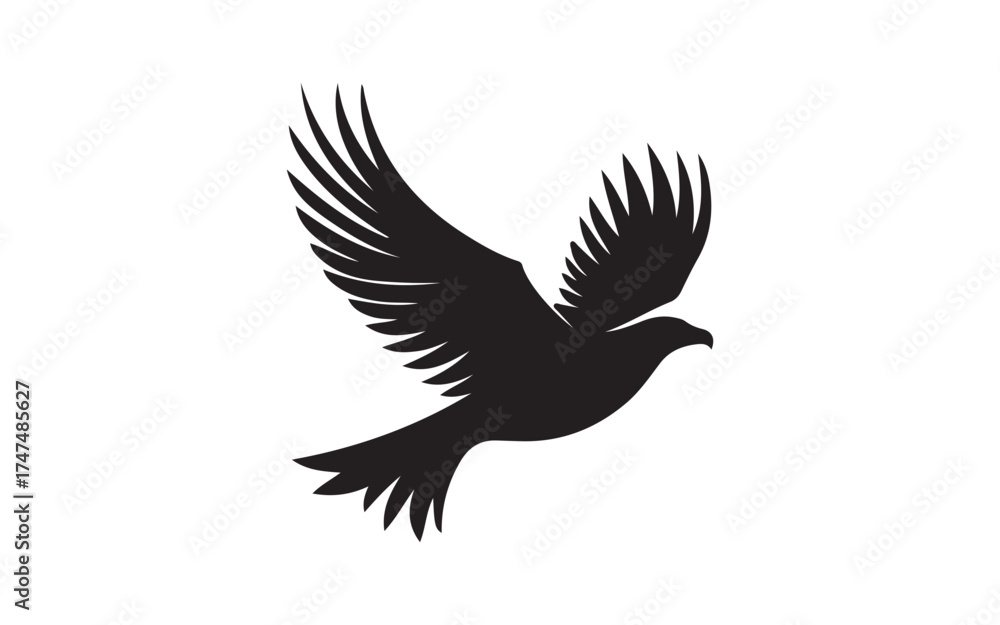 Obraz premium eagle vector illustration