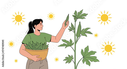 Joyful Harvest: A Woman Harvesting Fresh Okra From a Flourishing Garden