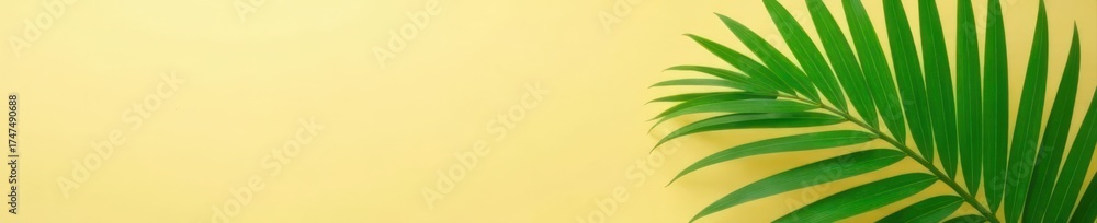 Obraz premium Single vibrant green palm leaf on beige background, summer, background texture