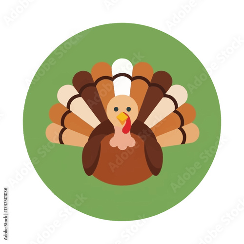 Illustration of a turkey with brown and white feathers on a green background.