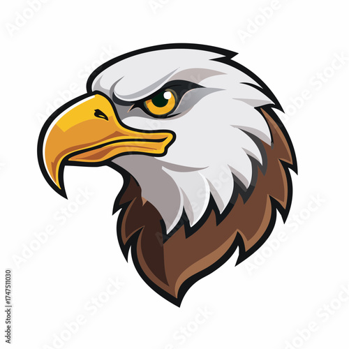 Majestic american bald eagle head illustration with sharp gaze and detailed feathers