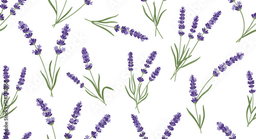 A beautiful seamless pattern with hand-drawn lavender flowers in various sizes and angles.