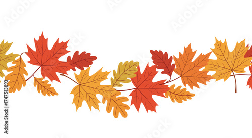 An autumn garland made of colorful maple and oak leaves gracefully curving across a white background.