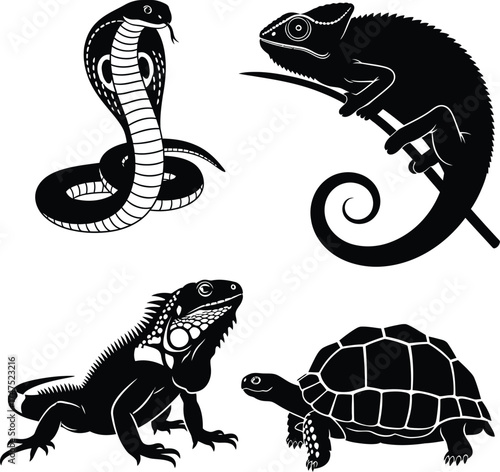 Vector art of cobra, chameleon, iguana, and turtle 