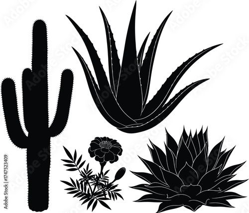 Vector art of desert plants silhouettes featuring arid vegetation 