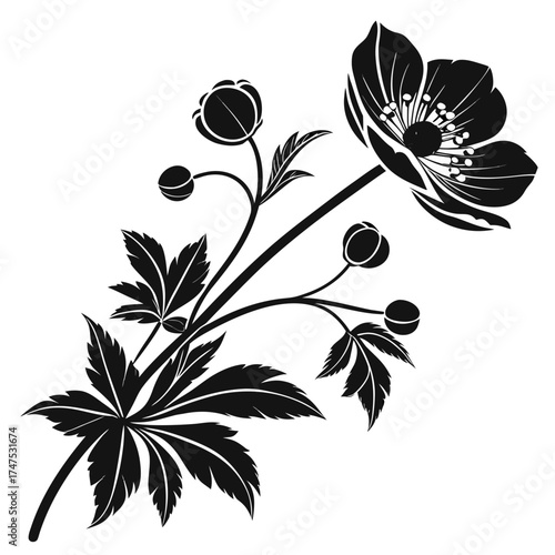 Elegant black and white silhouette of a blooming flower with buds