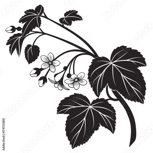 Elegant black and white silhouette of a flowering plant branch with detailed leaves and blossoms