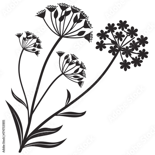 Stylized dill flowers and leaves on black background