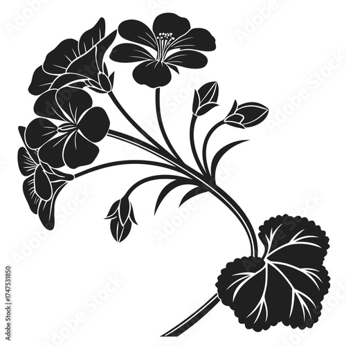 Stylized black and white silhouette of a fuchsia flower branch with buds and leaves