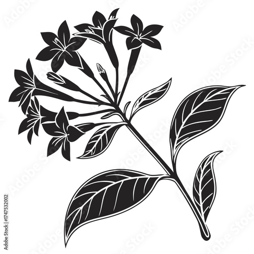 Monochromatic illustration of a flowering plant branch