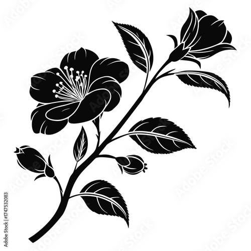 Elegant black and white flower branch with buds and leaves