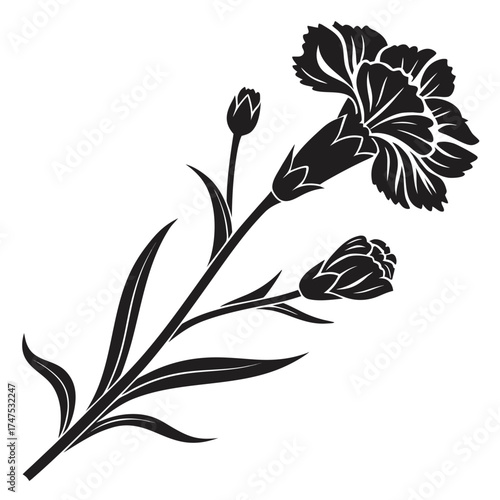 Black and white silhouette of a carnation flower with buds
