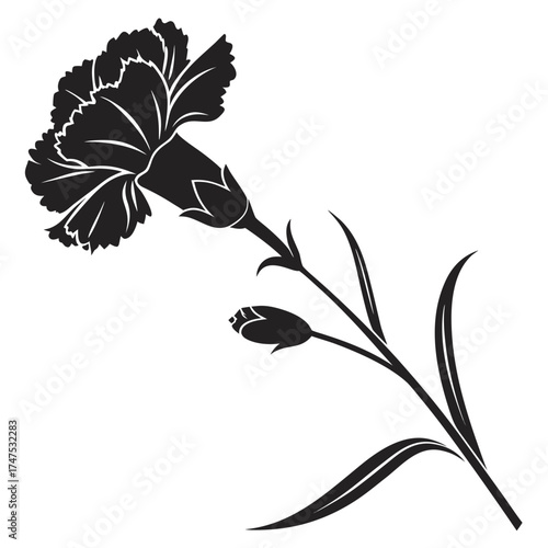 Black and white silhouette of a carnation flower with buds