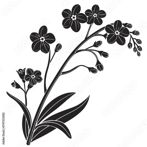 Stylized black and white forget me not flowers and buds