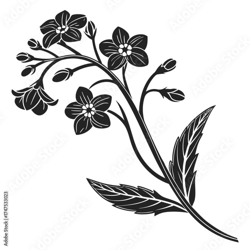 Stylized forget me not flower branch with leaves