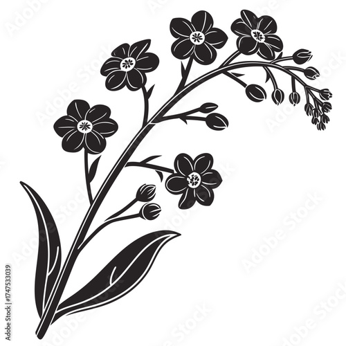 Elegant black and white forget me not flower branch illustration