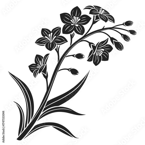 Elegant black and white forget me not flower illustration