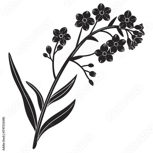 Stylized forget me not flower branch with leaves
