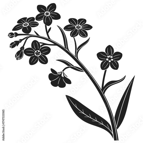 Stylized forget me not flower branch silhouette