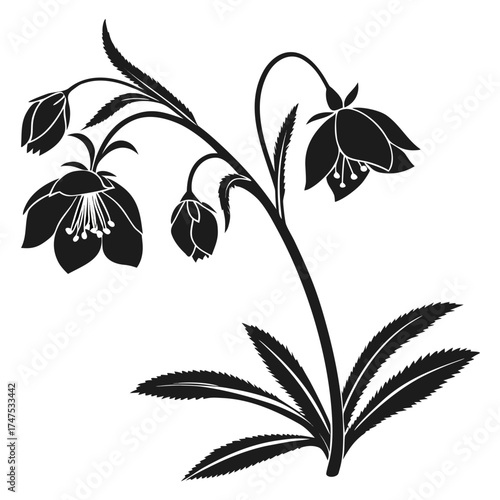 Elegant black and white silhouette of a flowering plant