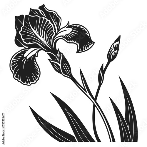 Stylized black and white iris flower with buds and leaves