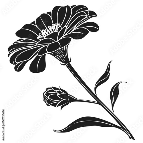 Stylized black and white flower and bud illustration