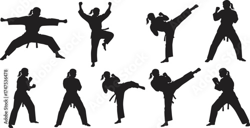 Martial arts silhouette poses, black and white vector, karate kick stance, traditional uniform illustration, combat training movement, discipline and strength artwork