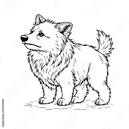 Adorable fluffy dog drawing with detailed fur a charming illustration perfect for canine related