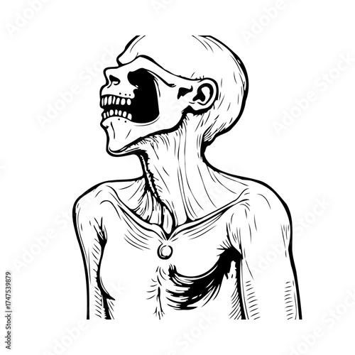 Anatomical monochrome study showcasing skeletal features and exaggerated expression of human form