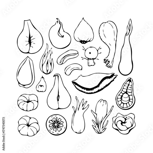 Artistic botanical study showcasing diverse fruits and vegetable sketches in monochrome line art