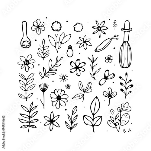 Botanical bliss a delicate exploration of nature with floral elements and graceful hand drawn