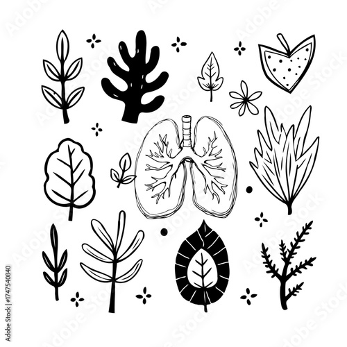 Botanical lung illustration with diverse leaf shapes showcasing respiratory health and