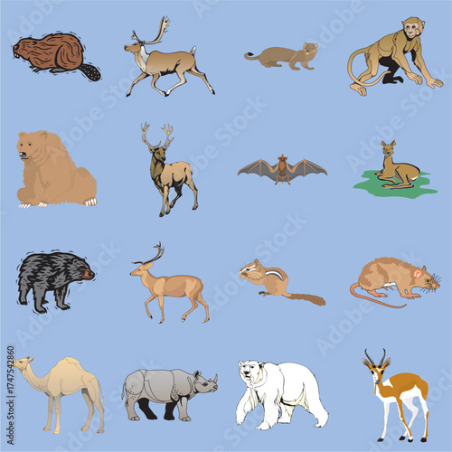 Canvas Print wild animals set