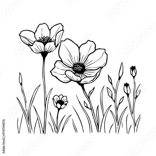 Elegant botanical illustration featuring wildflowers with detailed petals and foliage evoking