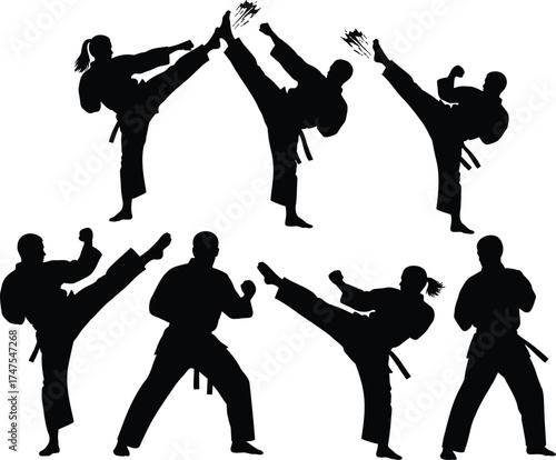 Karate Fighter Silhouettes – Martial Arts Kick and Combat Poses