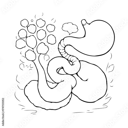 Illustration displaying intricate details the human digestive system highlighting stomach