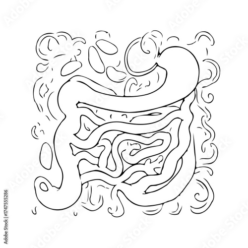 Illustration showcasing the intricate and detailed human digestive system black and white