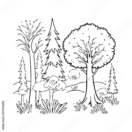 Linear representation of assorted trees illustrating tranquil forest scenery amidst natural