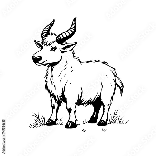 Majestic mountain goat illustration with prominent horns gracefully posing on grassy terrain in