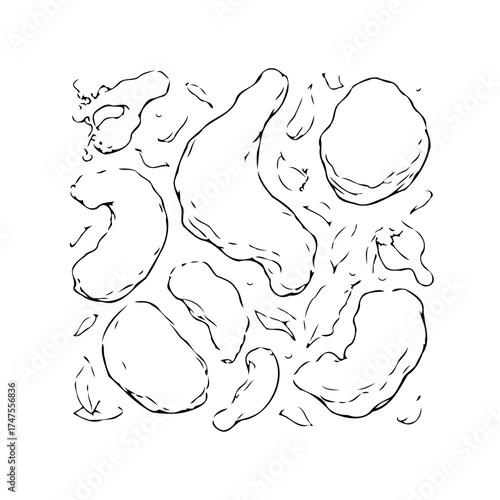 Minimalist cashew nuts arrangement artistic design providing a graphic design element for food