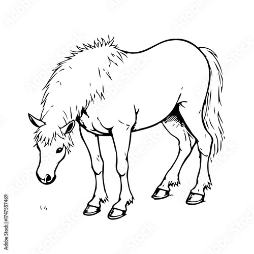 Monochrome illustration of a grazing horse in simplistic style showing peaceful animal in natural